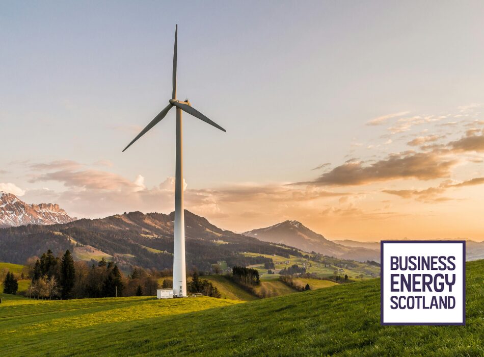 Business Energy Scotland | Content Creation Case Study